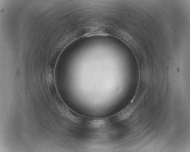 X0000080170085200612081411