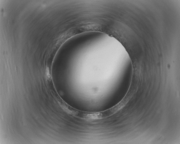 X0000080170089200612081411