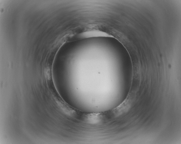 X0000080170090200612081411