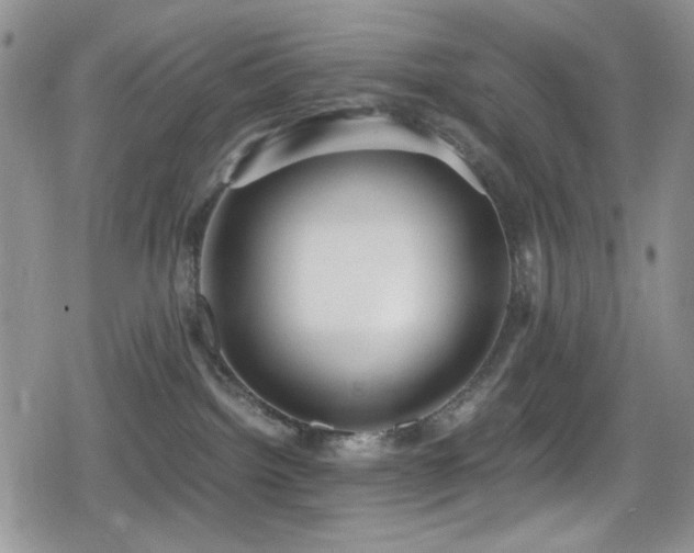 X0000080170092200612081411