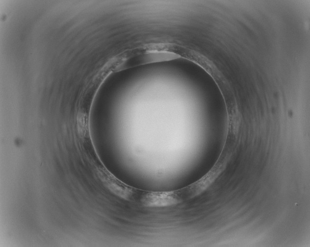 X0000080170093200612081411