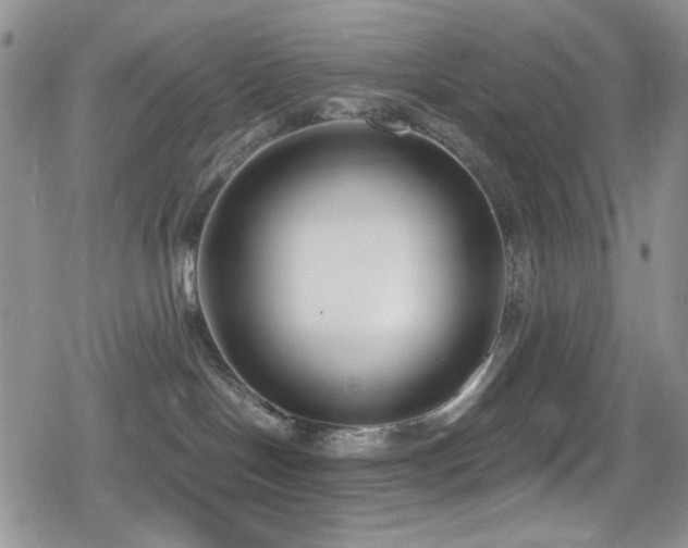 X0000080170094200612081411