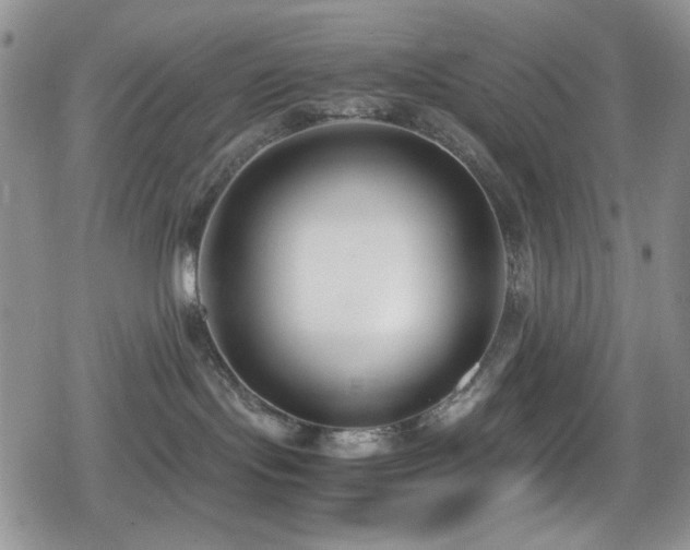 X0000080170095200612081411