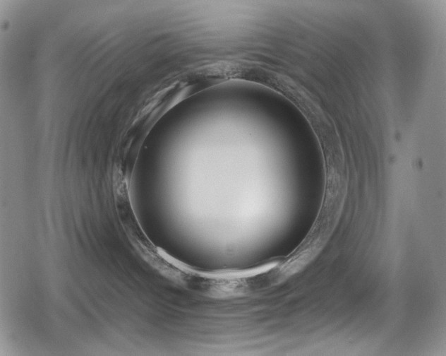 X0000080170096200612081411