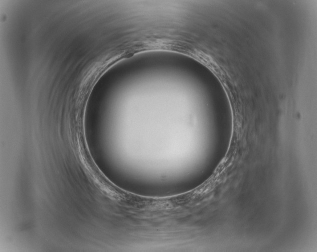 X0000080170097200612081411