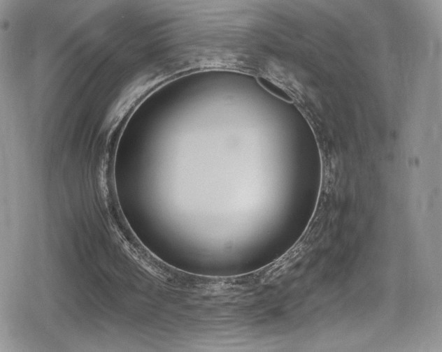 X0000080170098200612081411