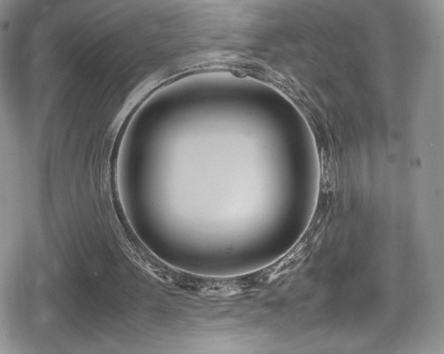X0000080170099200612081411