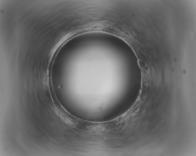 X0000080170100200612081411