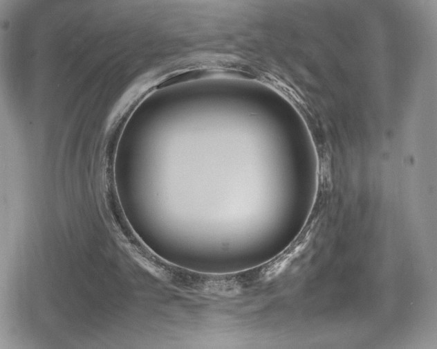X0000080170101200612081411