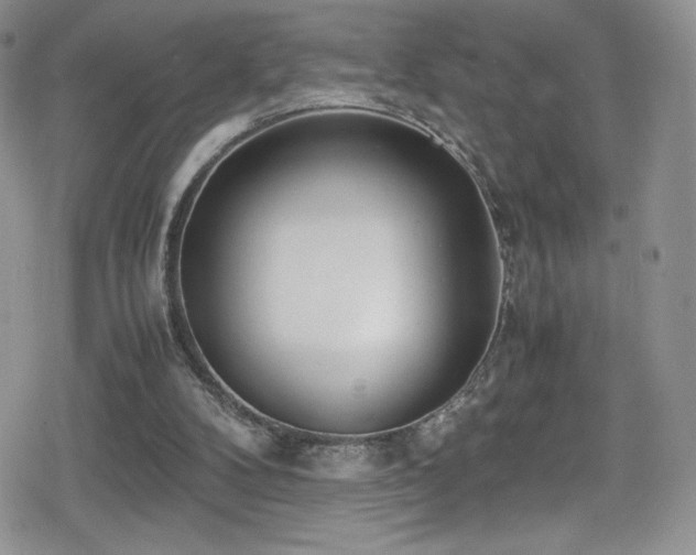 X0000080170104200612081410
