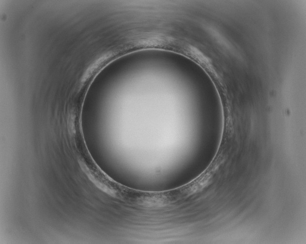 X0000080170106200612081410