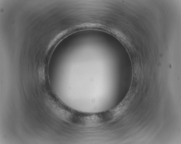 X0000080170112200612081410