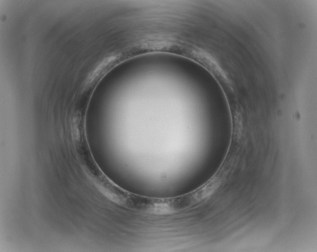 X0000080170114200612081410