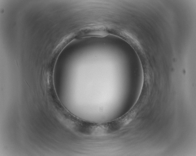 X0000080170115200612081410