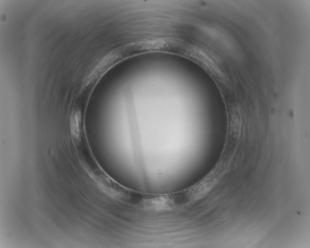X0000080170118200612081410
