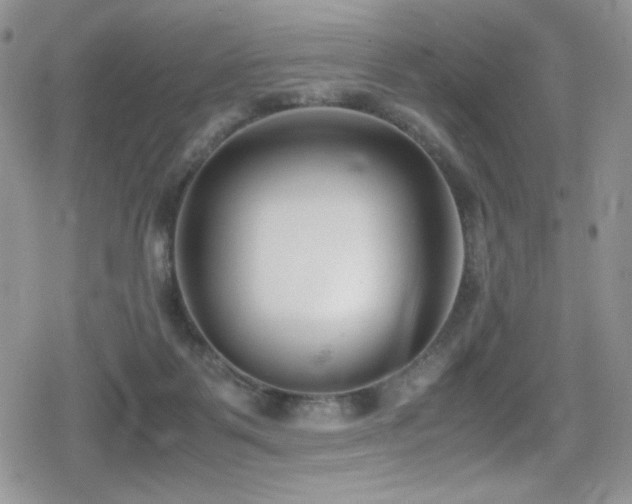 X0000080170123200612081410