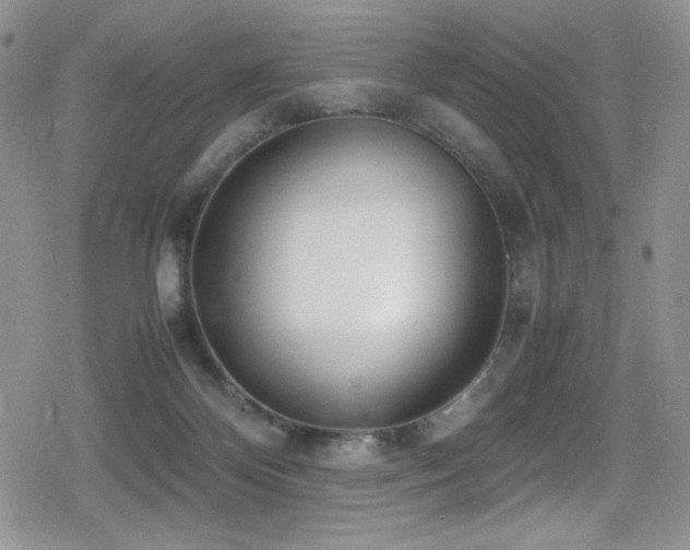 X0000080170124200612081410