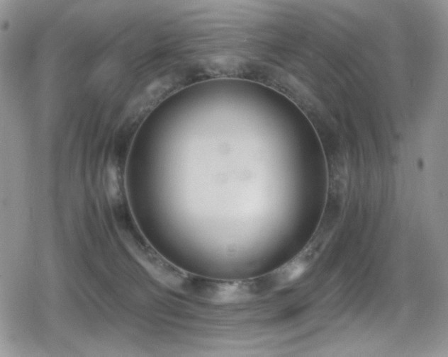 X0000080170130200612081410