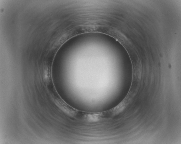 X0000080170134200612081410