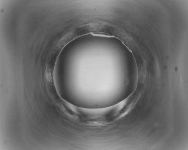 X0000080170137200612081410