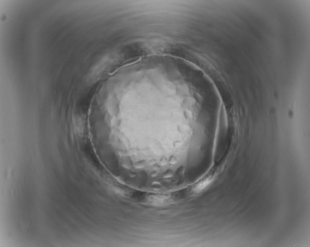 X0000080170139200612081410