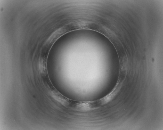 X0000080170140200612081410