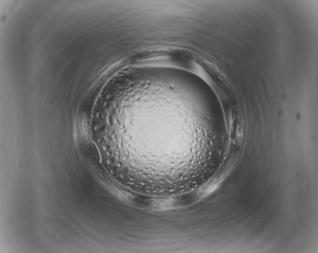 X0000080170143200612081410