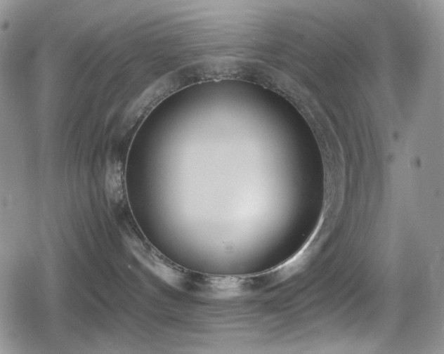 X0000080170144200612081410