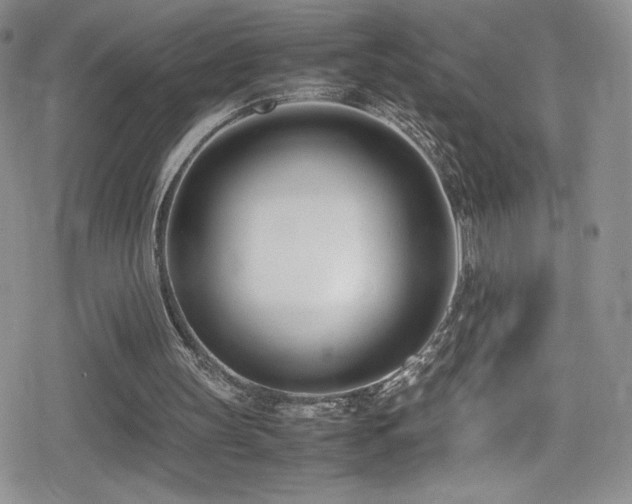 X0000080170147200612081409