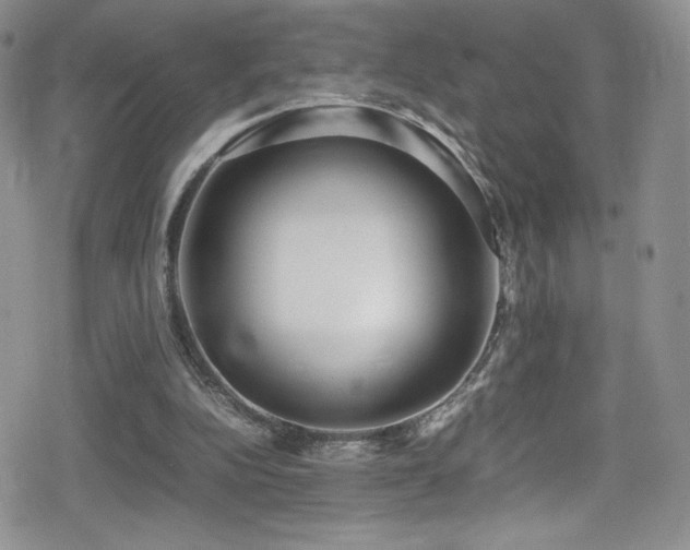 X0000080170152200612081409