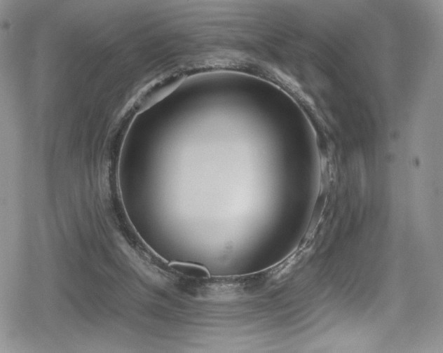 X0000080170154200612081409