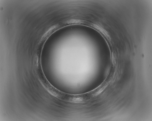 X0000080170157200612081409