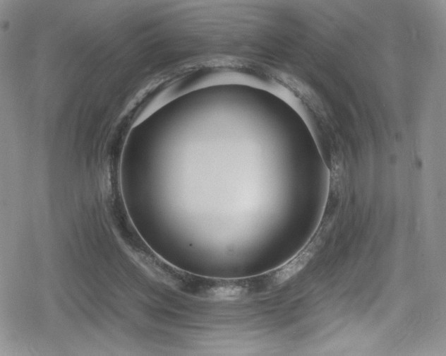X0000080170158200612081409
