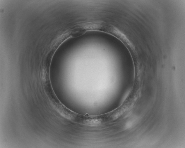 X0000080170161200612081409