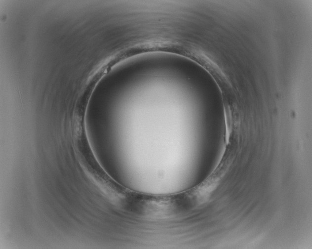 X0000080170164200612081409