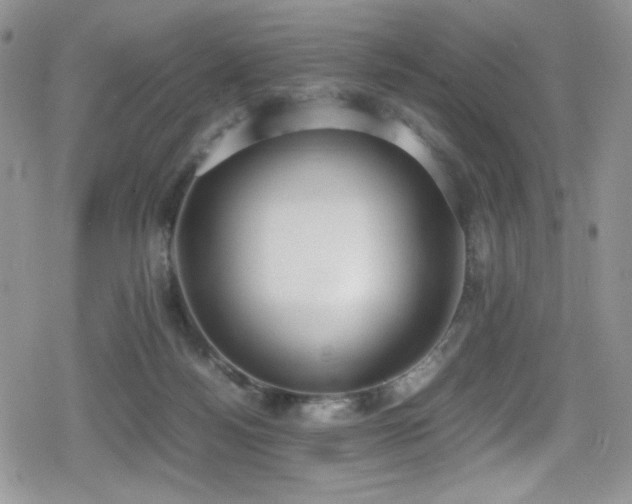 X0000080170172200612081409
