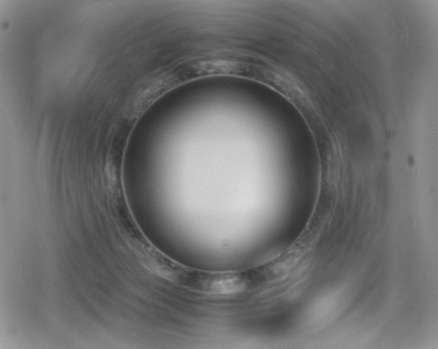 X0000080170173200612081409