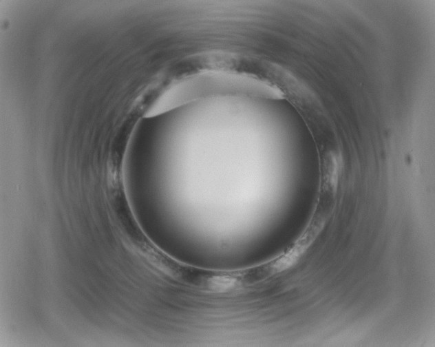 X0000080170176200612081410