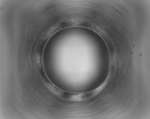 X0000080170178200612081410