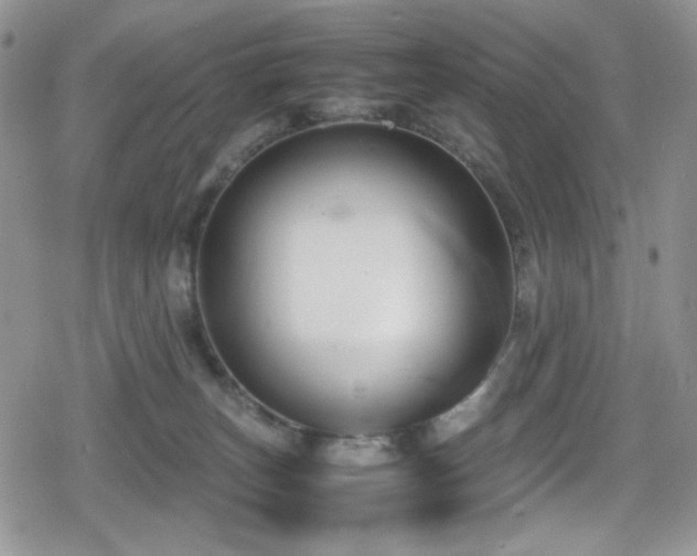 X0000080170179200612081410