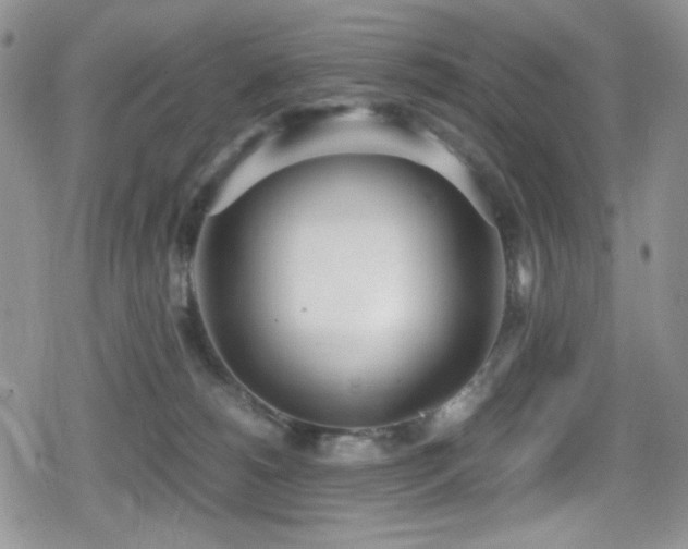 X0000080170180200612081410