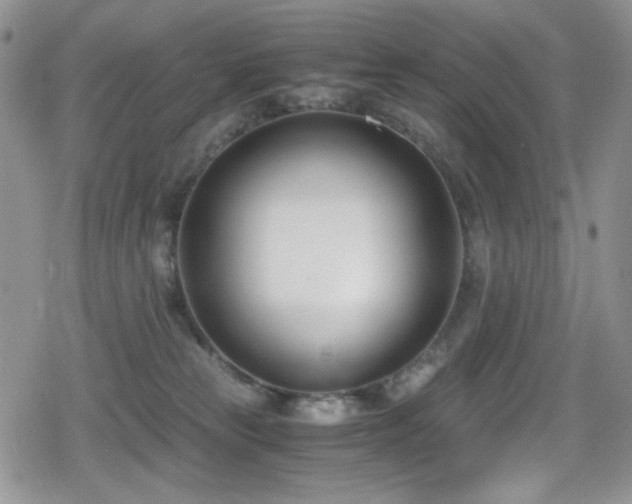 X0000080170181200612081410