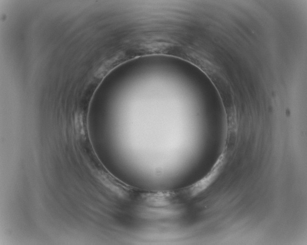 X0000080170182200612081410