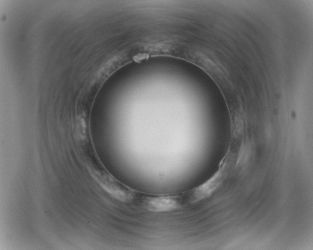 X0000080170183200612081410