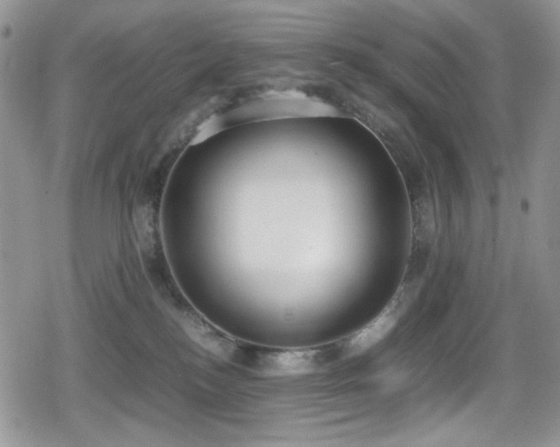X0000080170184200612081410