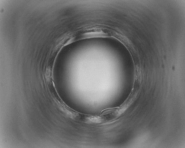 X0000080170189200612081410