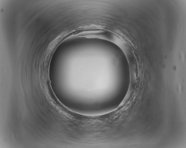 X0000080170193200612081409