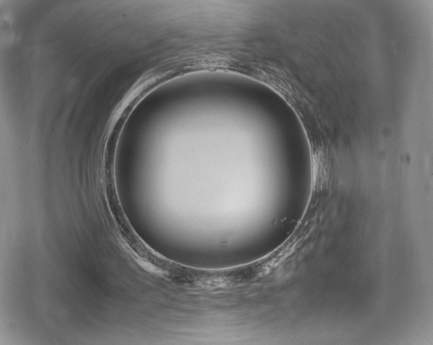 X0000080170195200612081409