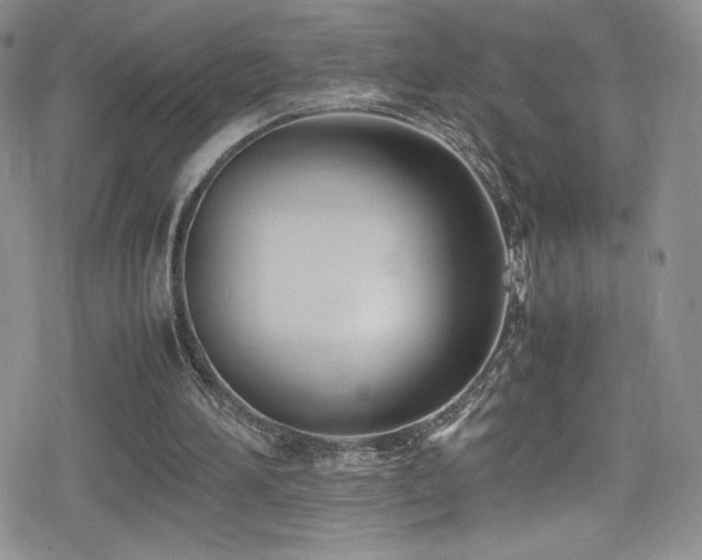 X0000080170196200612081409