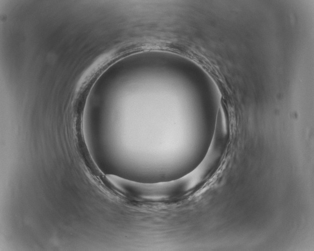 X0000080170197200612081409
